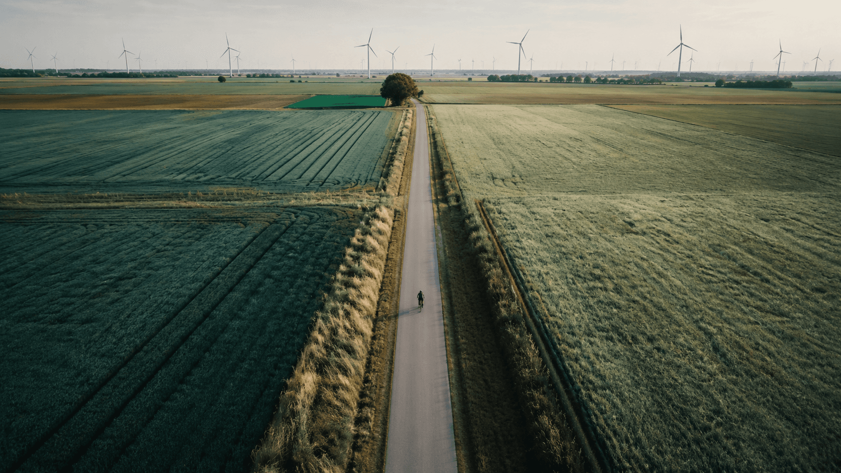 Hiring across the Belgium–Netherlands border: a practical guide for insurers and financial institutions
